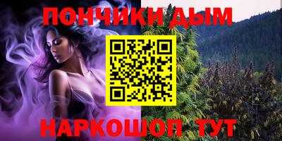 сатива Кунгур